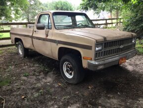 1982 Chevrolet C/K Truck K10 for sale 101772217