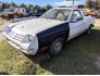 1982 Dodge Rampage for sale 101638092