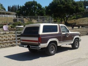 1982 Ford Bronco XLT for sale 101981644
