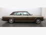 1982 Rolls-Royce Silver Spur for sale 101746222