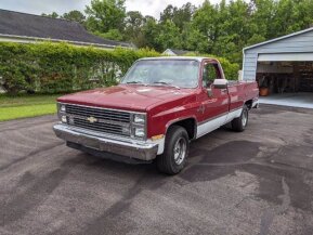 1983 Chevrolet C/K Truck Scottsdale for sale 101587874