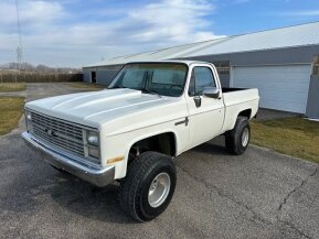 1983 Chevrolet C/K Truck for sale 101843678