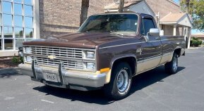 1983 Chevrolet C/K Truck 2WD Regular Cab 1500 for sale 102020055