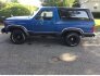 1983 Ford Bronco for sale 101752405
