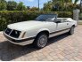 1983 Ford Mustang for sale 101466997