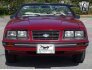 1983 Ford Mustang Convertible for sale 101699964