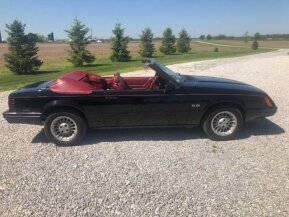 1983 Ford Mustang for sale 101903343
