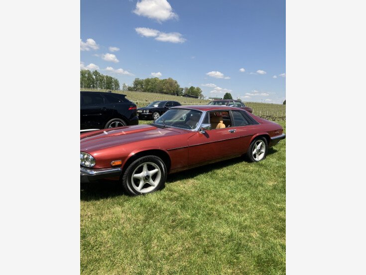 Photo for 1983 Jaguar XJS V12 Coupe