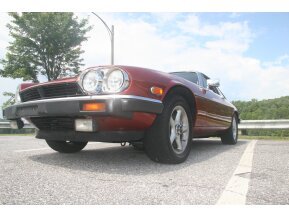 1983 Jaguar XJS V12 Coupe
