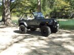 Thumbnail Photo 4 for 1983 Jeep CJ 7 for Sale by Owner