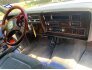 1983 Oldsmobile Ninety-Eight Regency for sale 101587279