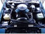1983 Pontiac Firebird Trans Am Coupe for sale 101710206
