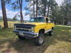 Thumbnail Photo 4 for 1984 Chevrolet Blazer 4WD 2-Door for Sale by Owner