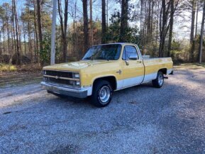 1984 Chevrolet C/K Truck for sale 101861089