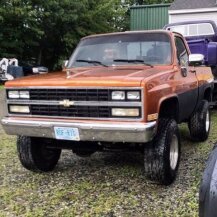 1984 Chevrolet C/K Truck for sale 101586929