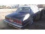 1984 Chevrolet Caprice for sale 101710891