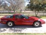 1984 Chevrolet Corvette for sale 101696099