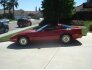 1984 Chevrolet Corvette for sale 101800659