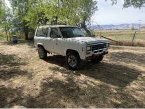 1984 Ford Bronco for sale 101805356