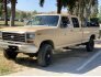 1984 Ford F350 4x4 Crew Cab for sale 101736623