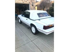 1984 Ford Mustang for sale 101587514