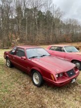 1984 Ford Mustang for sale 101854429
