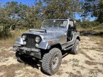 Thumbnail Photo 1 for 1984 Jeep CJ 7 for Sale by Owner