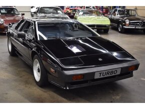 1984 Lotus Esprit Turbo for sale 101707881