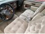 1984 Oldsmobile Ninety-Eight Regency for sale 101693994