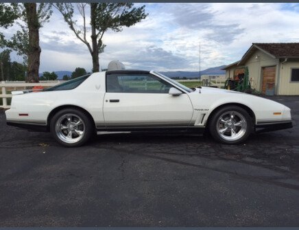 Photo 1 for 1984 Pontiac Firebird Trans Am Coupe for Sale by Owner