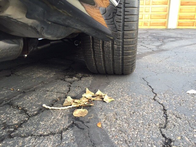 1984 Pontiac Firebird Trans Am Coupe for sale near GARDNERVILLE, Nevada