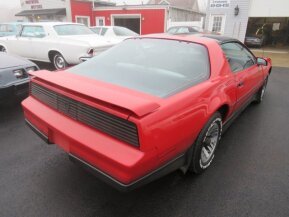 1984 Pontiac Firebird for sale 101825452