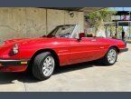 Thumbnail Photo 1 for 1985 Alfa Romeo Spider Veloce for Sale by Owner
