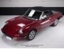 1985 Alfa Romeo Spider for sale 101666596