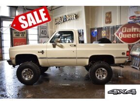1985 Chevrolet Blazer for sale 101733528