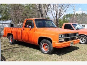 1985 Chevrolet C/K Truck for sale 101587148