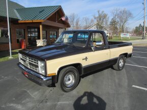 1985 Chevrolet C/K Truck 2WD Regular Cab 1500 for sale 101821468