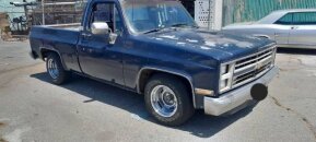 1985 Chevrolet C/K Truck for sale 101907433