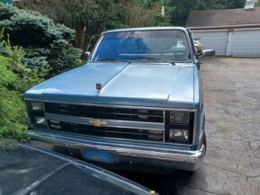 1985 Chevrolet C/K Truck for sale 101938289