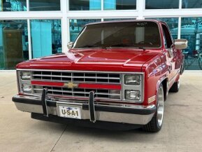 1985 Chevrolet C/K Truck 2WD Regular Cab 1500 for sale 102010446