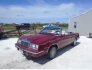1985 Chrysler LeBaron for sale 101731861