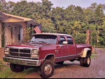 1985 Dodge D/W Truck
