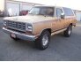 1985 Dodge Ramcharger AD 100 2WD for sale 101755174