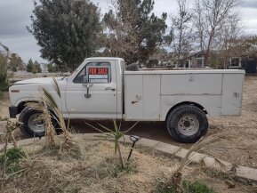 1985 Ford F250 2WD Regular Cab for sale 101825530