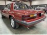 1985 Ford Mustang LX V8 Coupe for sale 101544374