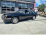 1985 Ford Mustang for sale 101789171