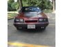 1985 Ford Mustang Convertible for sale 101680538