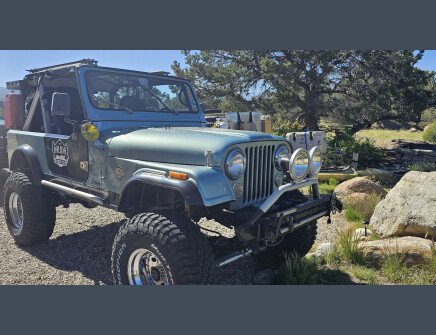 Photo 1 for 1985 Jeep CJ 7 for Sale by Owner