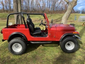 1985 Jeep CJ 7 for sale 101802016