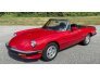 1986 Alfa Romeo Spider for sale 101785418